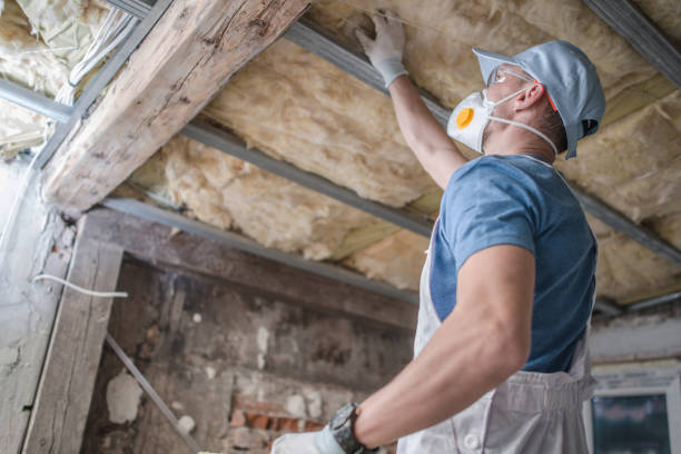 Best Spray Foam Insulation in Chapin, SC