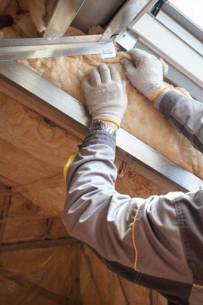 Types of Insulation We Offer in Chapin, SC