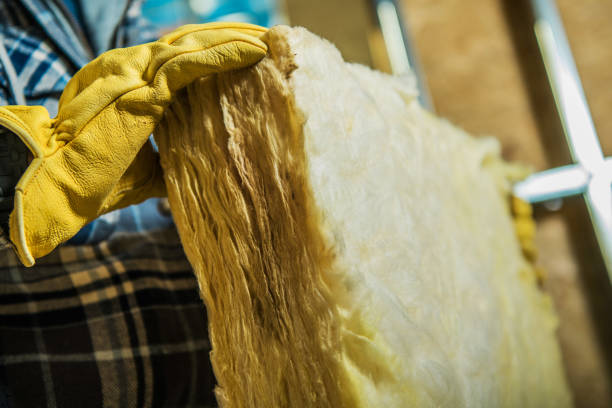 Best Cellulose Insulation in Chapin, SC