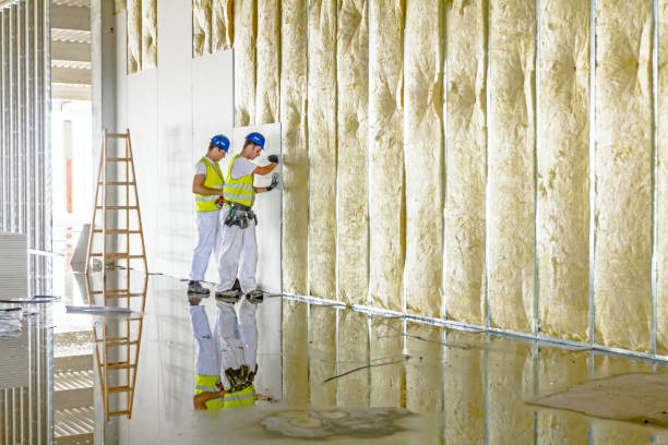 Best Insulation for Specific Applications in Chapin, SC
